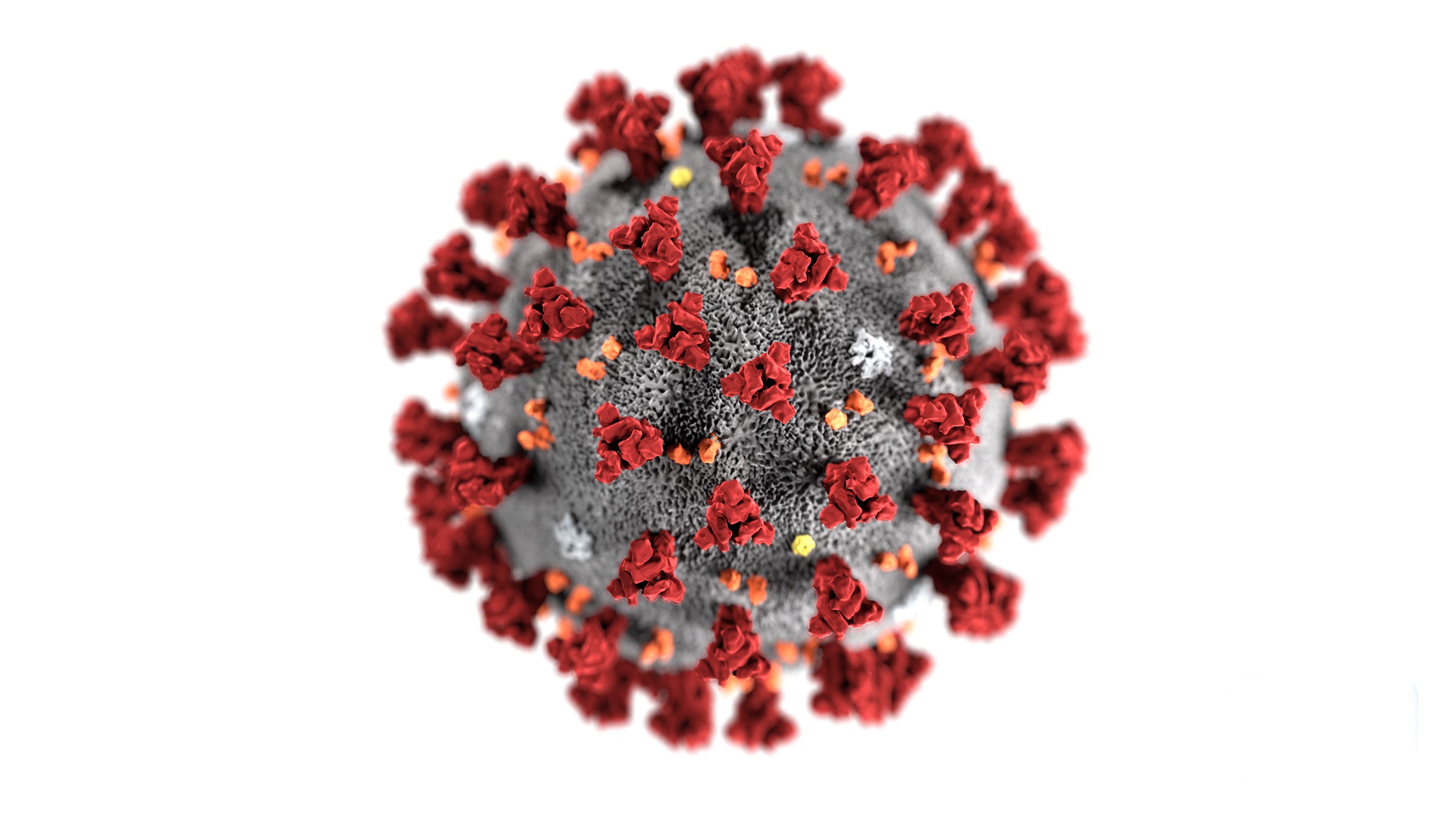 This illustration, created at the Centers for Disease Control and Prevention (CDC), reveals ultrastructural morphology exhibited by the 2019 Novel Coronavirus (2019-nCoV). Note the spikes that adorn the outer surface of the virus, which impart the look of a corona surrounding the virion, when viewed electron microscopically. This virus was identified as the cause of an outbreak of respiratory illness first detected in Wuhan, China.