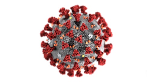 This illustration, created at the Centers for Disease Control and Prevention (CDC), reveals ultrastructural morphology exhibited by the 2019 Novel Coronavirus (2019-nCoV). Note the spikes that adorn the outer surface of the virus, which impart the look of a corona surrounding the virion, when viewed electron microscopically. This virus was identified as the cause of an outbreak of respiratory illness first detected in Wuhan, China.