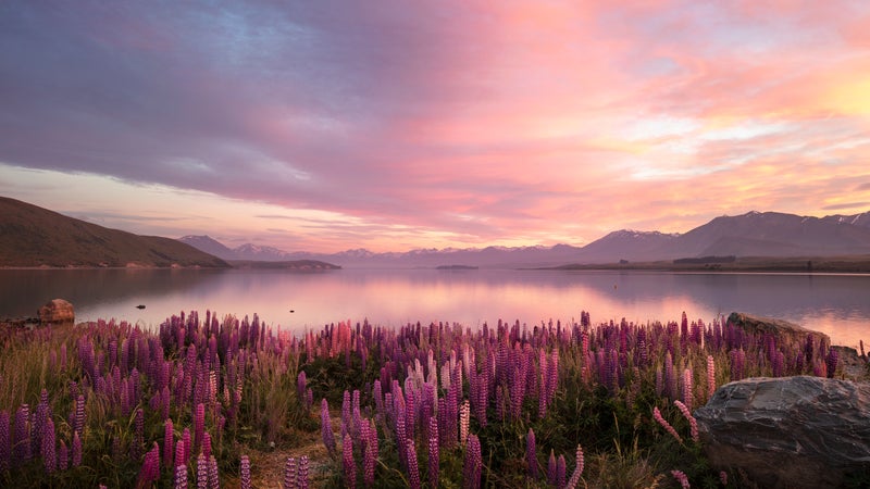 New Zealand South Island