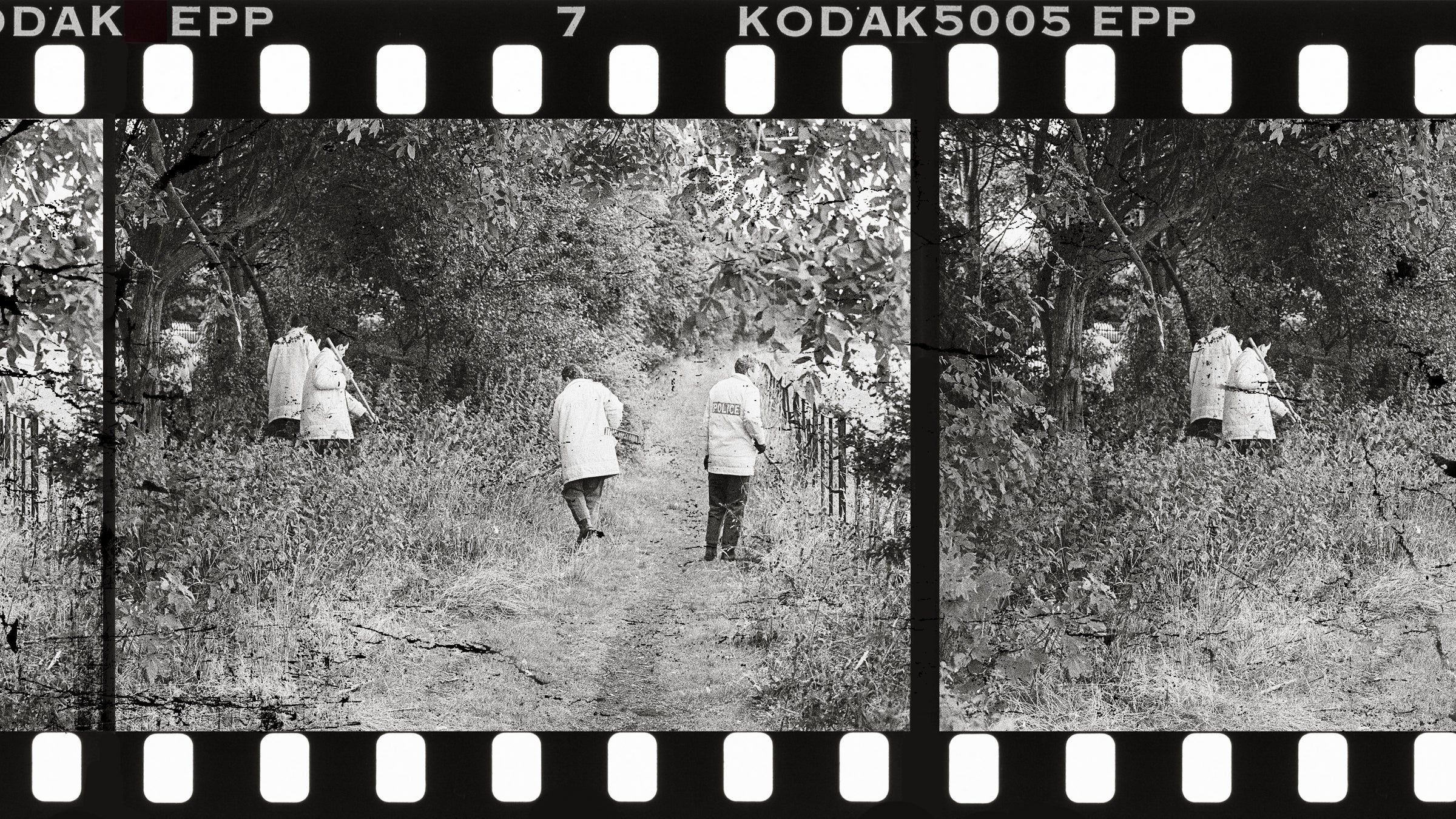 What are the odds of a person crossing paths with a killer on an empty trail?