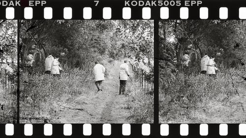 What are the odds of a person crossing paths with a killer on an empty trail?