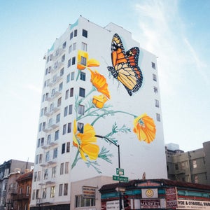 Migrating Mural