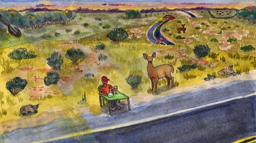 Given the chance, would you eat roadkill?