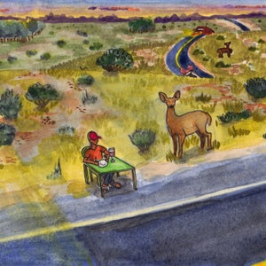 Given the chance, would you eat roadkill?