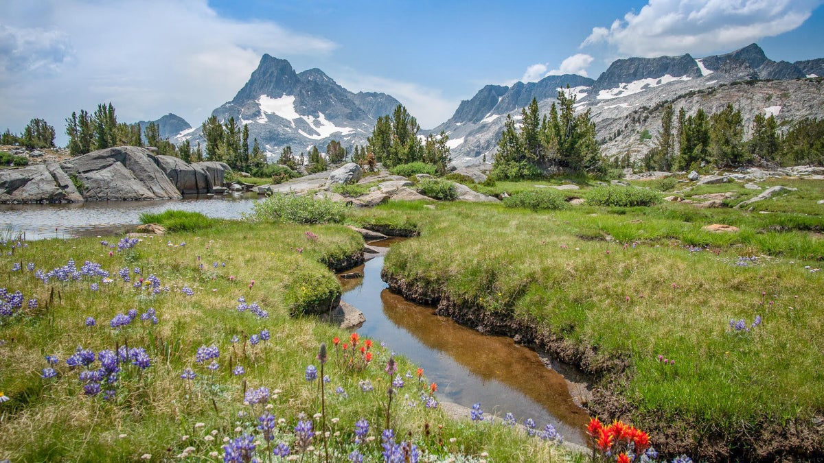 7 Long-Distance Trails You Should Hike This Year