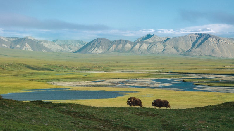 Arctic National Wildlife Refuge, Alaska