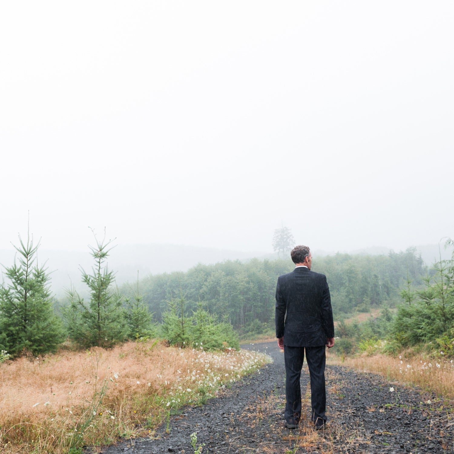 Unrecognizable Businessman In Nature Landscape