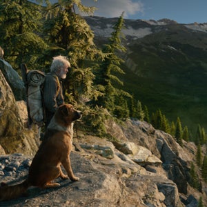 Harrison Ford, who stars as the movie’s human protagonist, John Thornton, has no reservations about environmental advocacy.