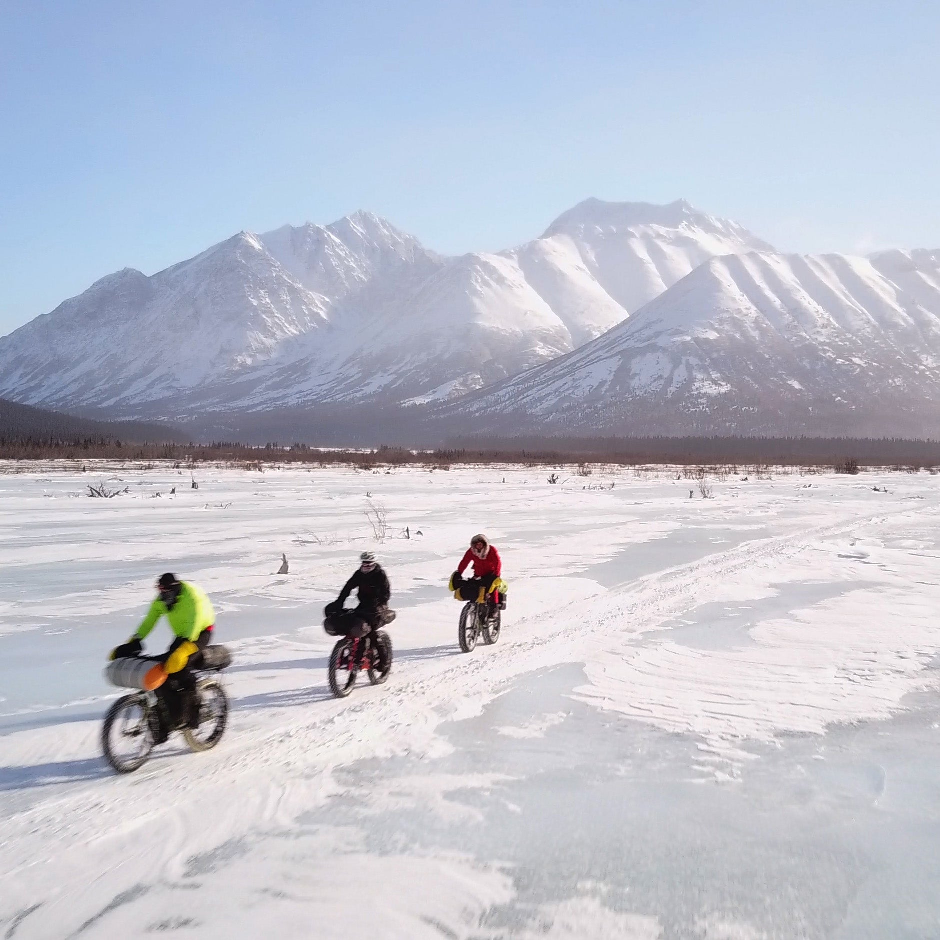 The Masochists Who Race the Iditarod Without Dogs