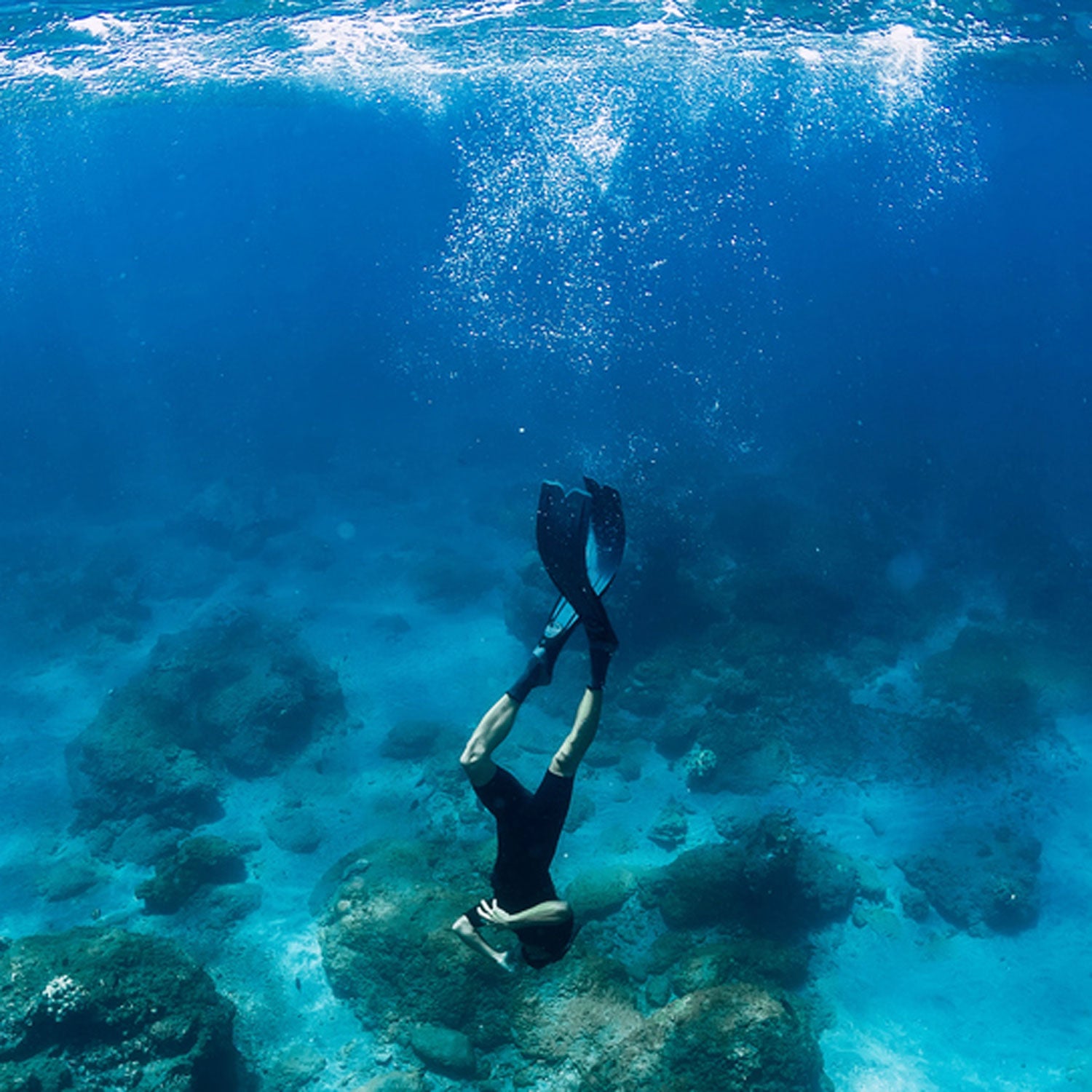 Freediving, 60% OFF