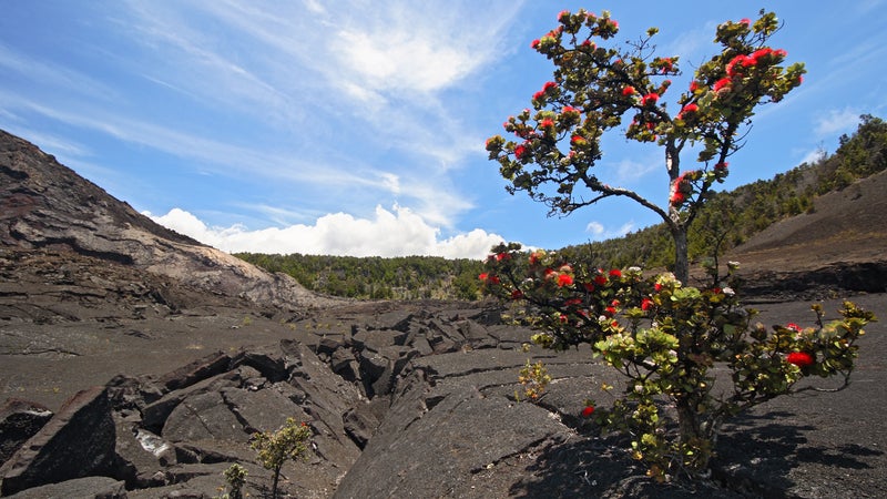 Hawaiʻi Volcanoes National Park