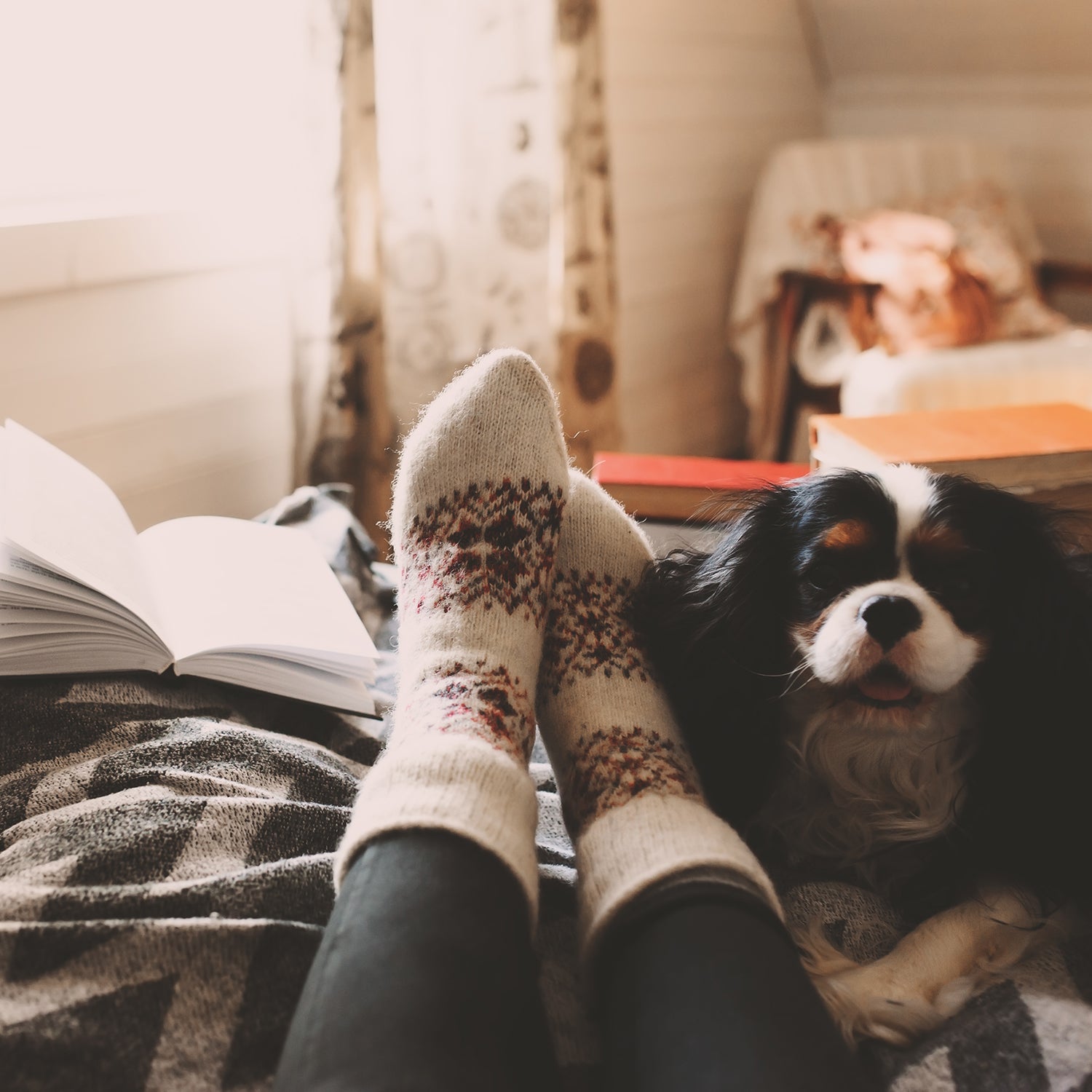 cozy winter day at home with cup of hot tea, book and sleeping dog. Spending weekend in bed, seasonal holidays and hygge concept