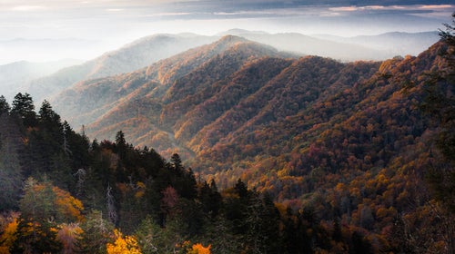 Smokies