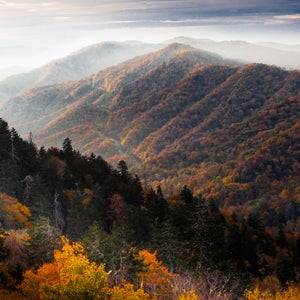 Smokies