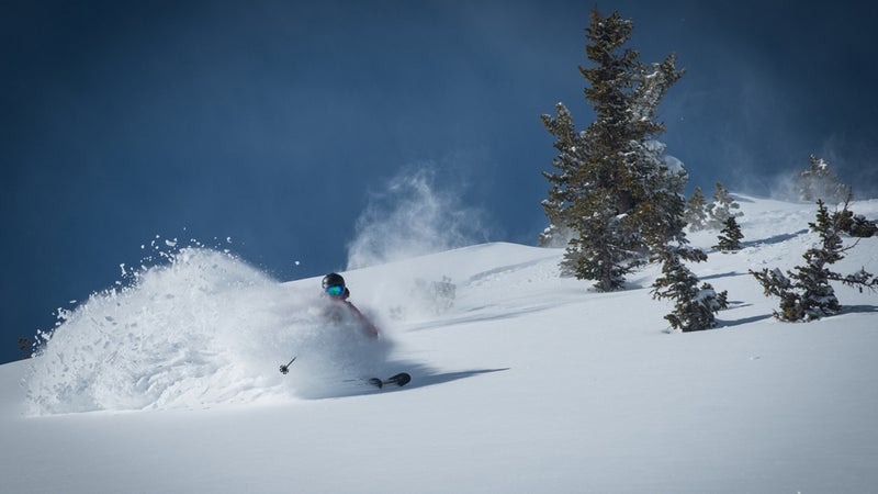 Utah Skiing