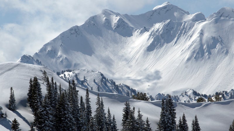 Utah Skiing