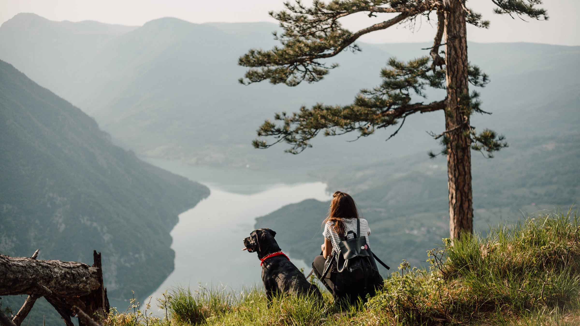 Woman And Dog In Nature