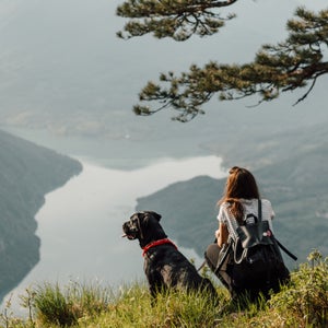Woman And Dog In Nature