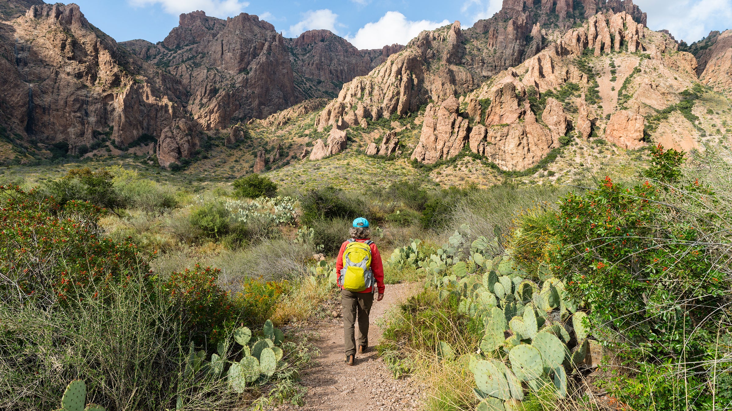 Woman hiking in Big Bend National Park, Texas, USA