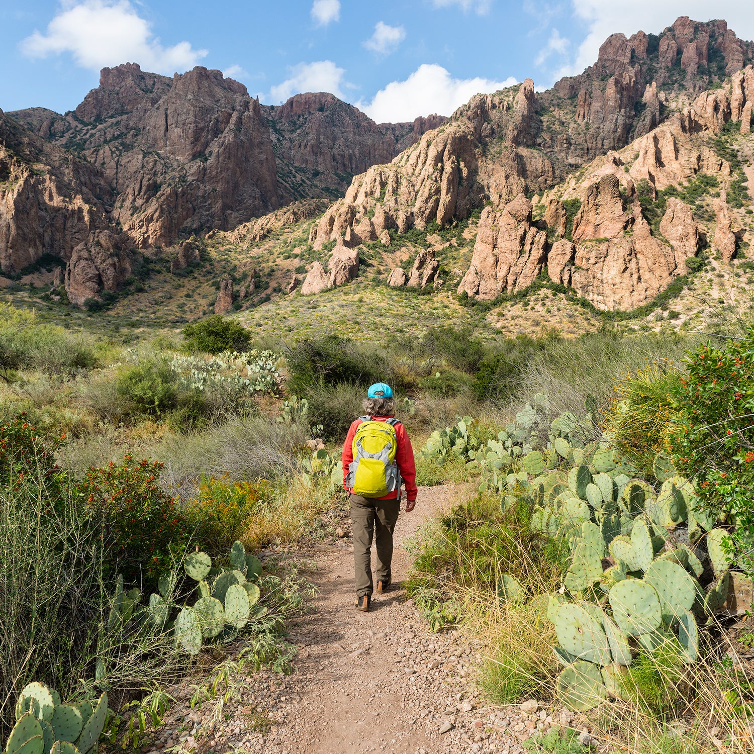 Woman hiking in Big Bend National Park, Texas, USA