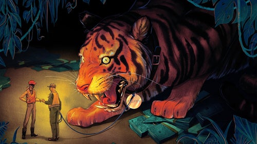 Besides tigers, people keep lions, cougars, leopards, and other big cats as pets.