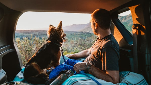 Car camping with dogs
