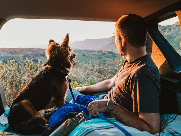 Car camping with dogs