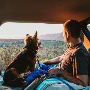 Car camping with dogs
