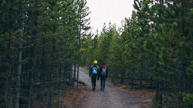 Hikers in Yellowstone, in pre-pandemic times