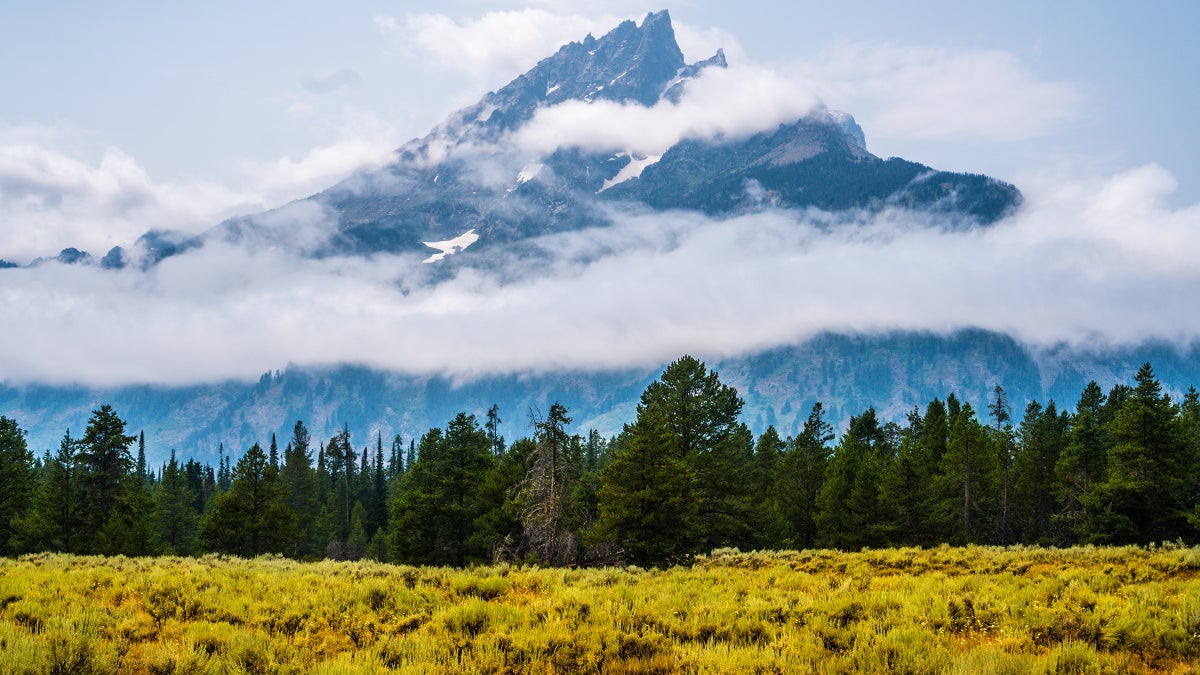 Parks Are Closing—but Wilderness Is All Around You