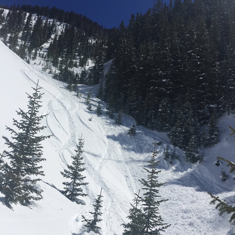 A snowboarder was seriously injured in an avalanche in East Waterfall Canyon near the town of Ophir on March 24.