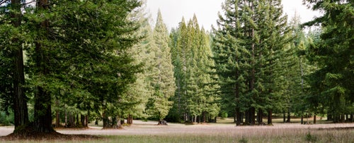 Bella Ranch