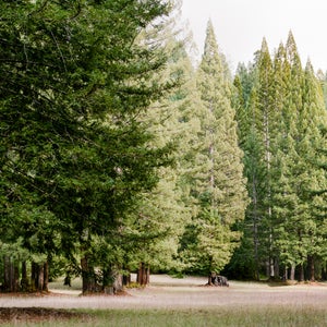 Bella Ranch