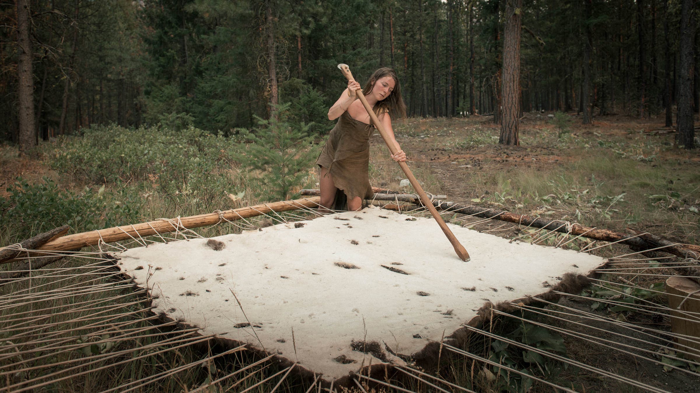 A student softens a bison hide on Lynx’s property in Twisp before the backcountry segment of the 2014 project. The resulting tanned hide will provide an insulating layer that she can cover her entire body with when out in the wild.