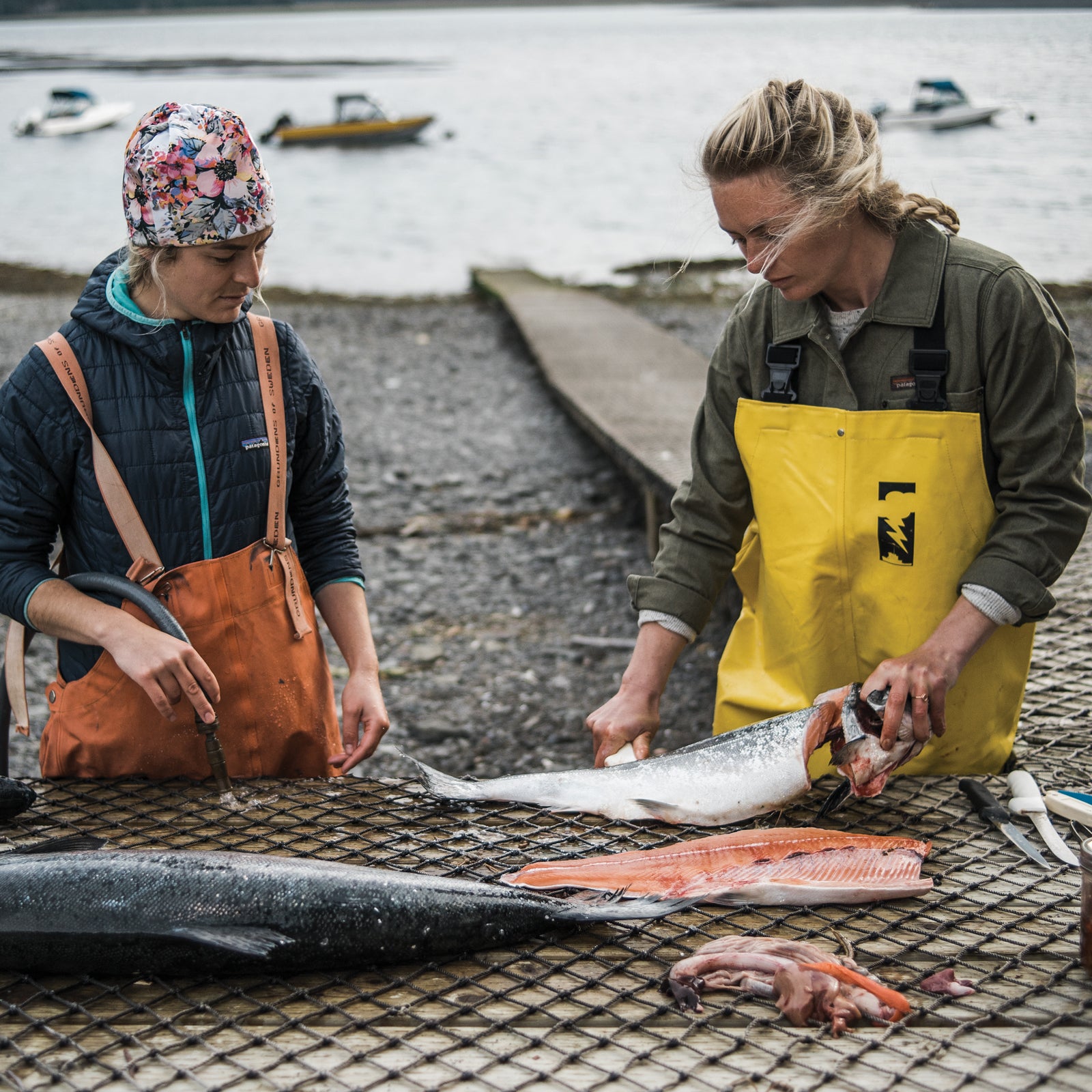 Fishing Lower on the Food Chain - Longreads