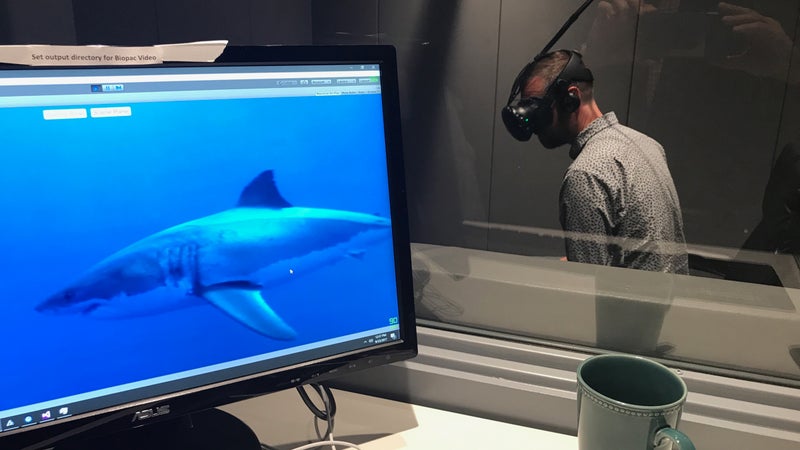 The author sampling virtual fear at the Stanford lab of neuroscientist Andrew Huberman