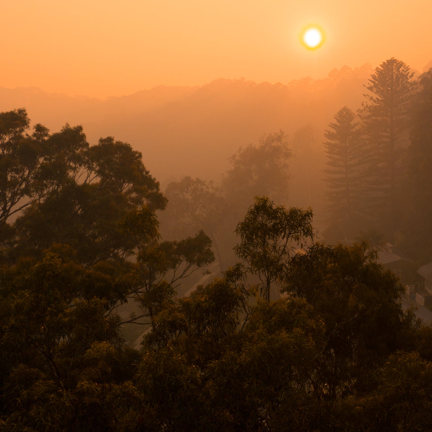 Smoke Filled Hazy Skies Over Sydney