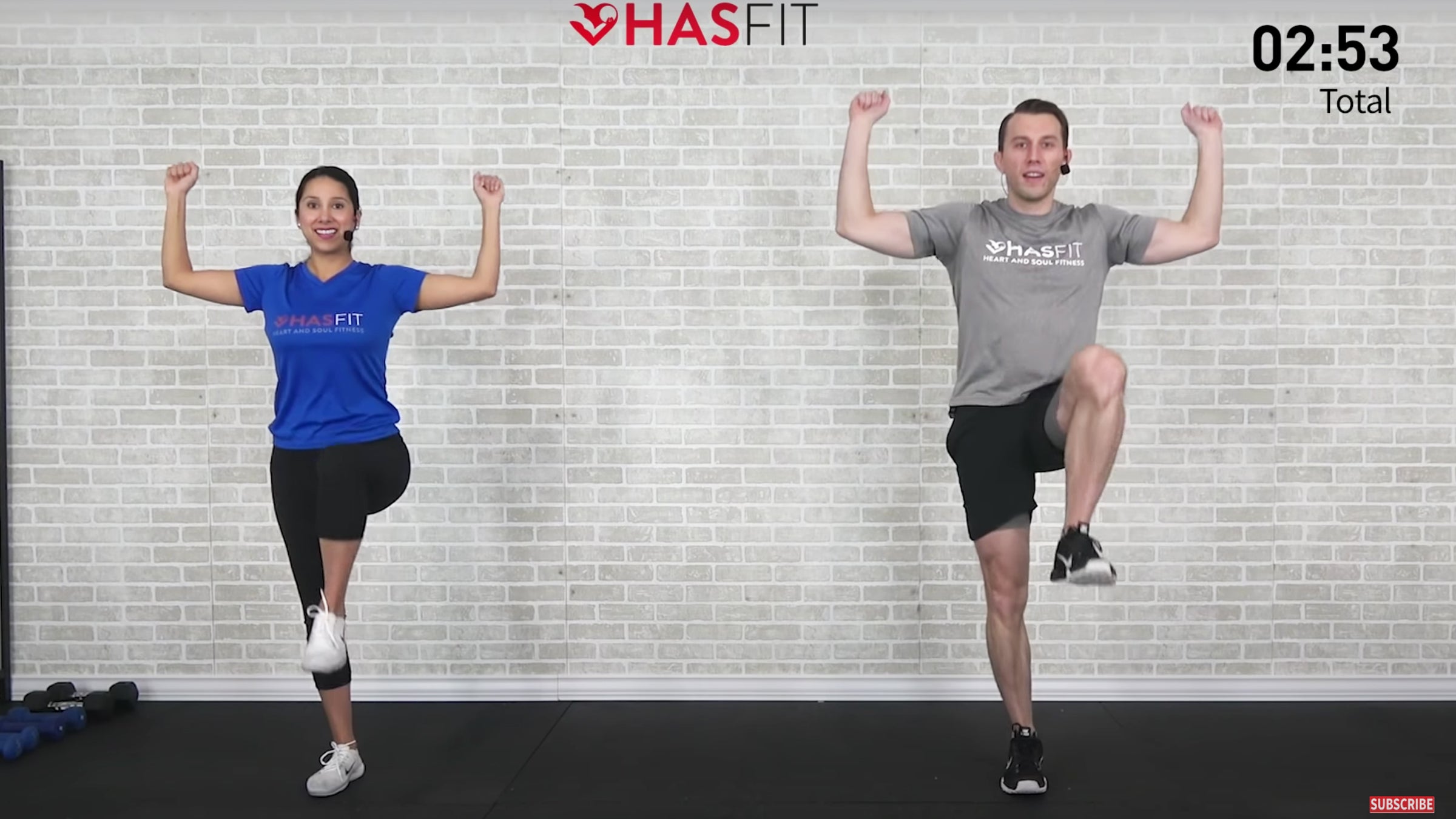 Hasfit exercises for lower back online pain