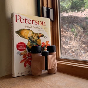 bird watching