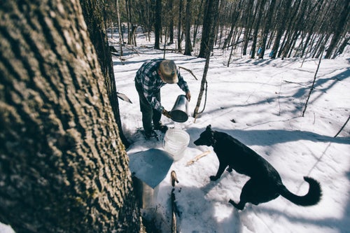 Making syrup