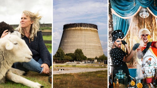 A few of Airbnb’s most popular Online Experiences, from left: “Guided Meditation with Sleepy Sheep,” “Dogs of Chernobyl,” and “Sangria and Secrets with Drag Queens”