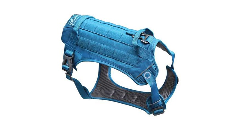 Dog Gear