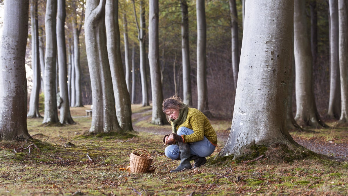 Let's Study Our 'Wild' Food Obsession, Shall We?