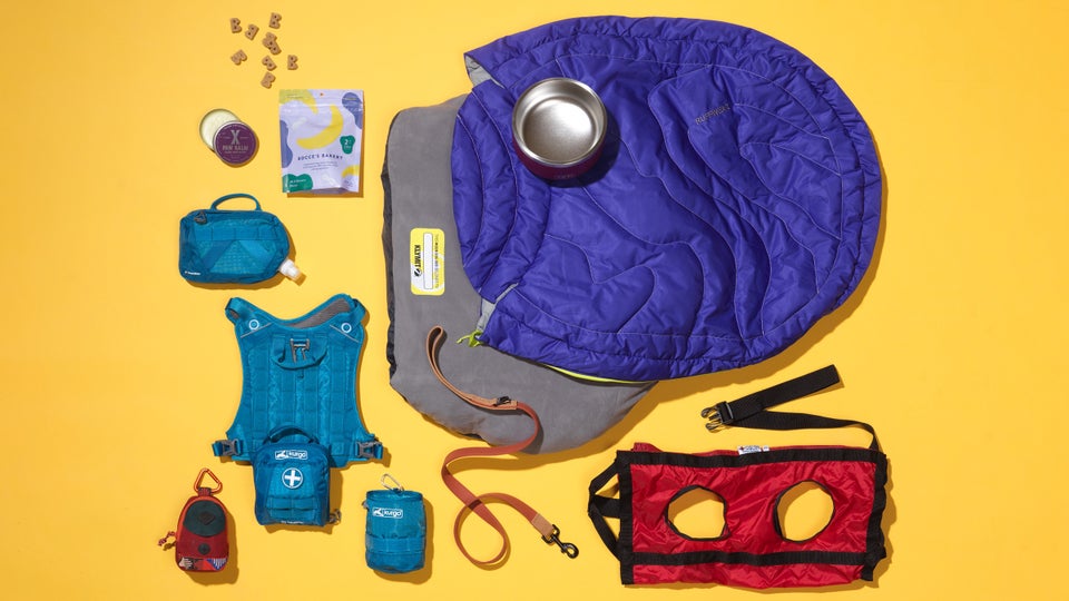 The Best Dog Gear of 2020