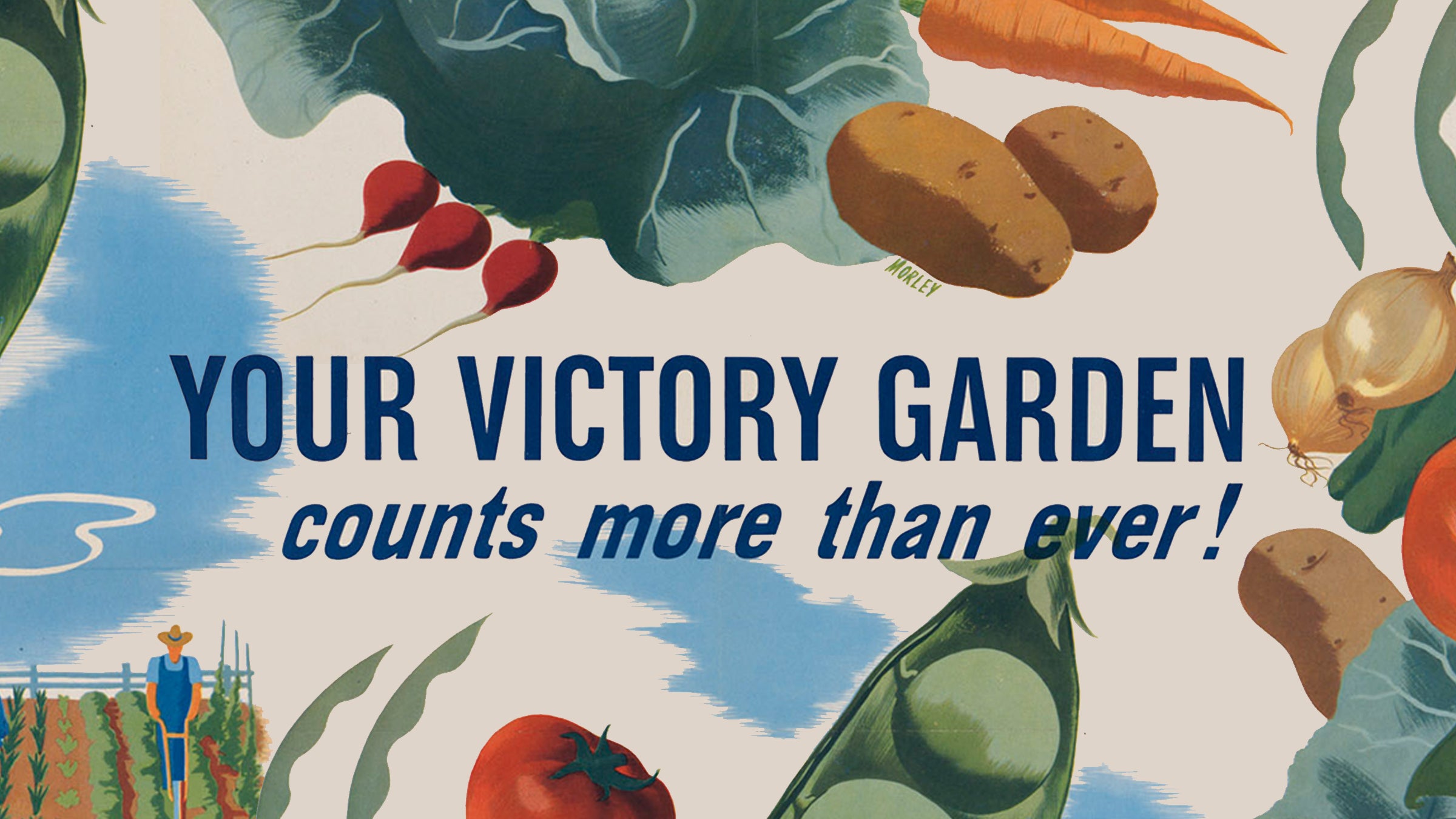 It’s hard to express the pride and lovingness and delight in seeing a plant germinate, and grow tall and hardy, and then flower and put fruit out.