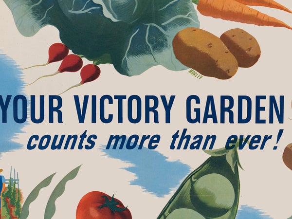 It’s hard to express the pride and lovingness and delight in seeing a plant germinate, and grow tall and hardy, and then flower and put fruit out.