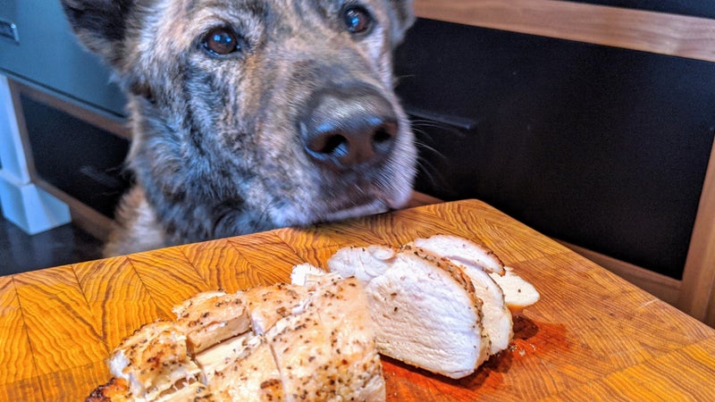 My sous chef Wiley inspects our handiwork. It's probably not a good idea to feed your dog seasoned meat like this. And our dogs prefer their chicken raw anyways.