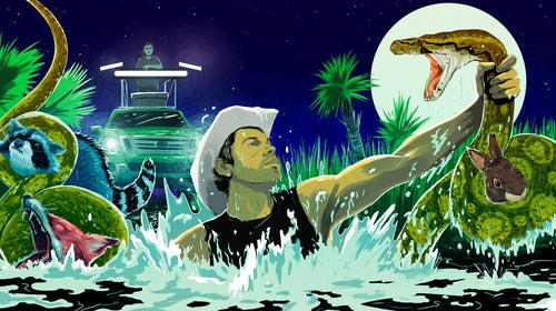 How do you actually catch a python?