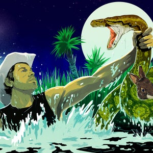 How do you actually catch a python?