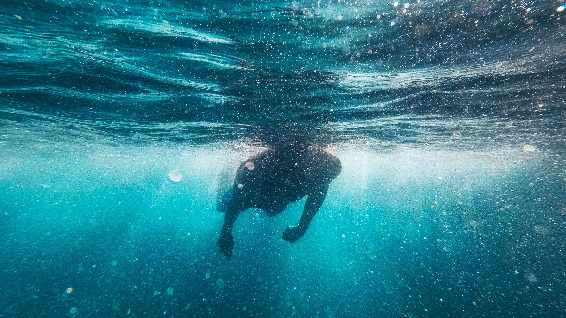 These two books have turned out to be remarkably prescient, and they open up new ways to think about the time we spend in the pool or on the path.